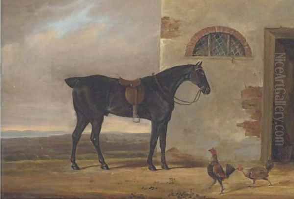 A saddled hunter before a stable Oil Painting by Daniel Clowes