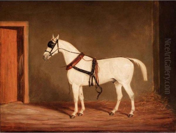 Horse On Harness Oil Painting by James Loder