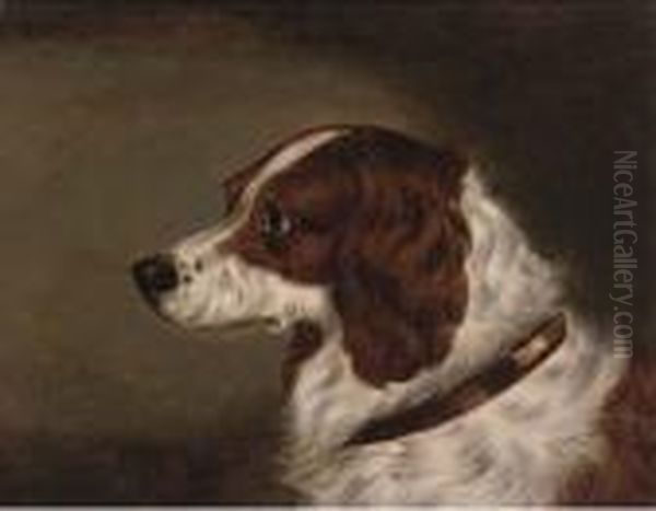 The Head Of A Spaniel; And The Head Of Gundog Oil Painting by Edwin Loder