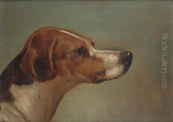 Head Of A Hound Oil Painting by Edwin Loder