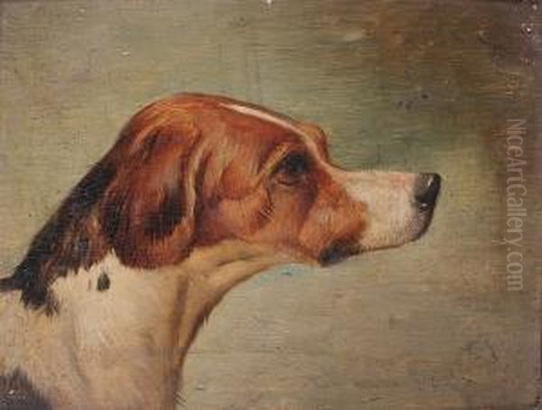 Head Of A Hound Oil Painting by Edwin Loder