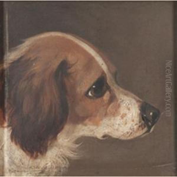 Head Studies Of Dogs Oil Painting by Edwin Loder