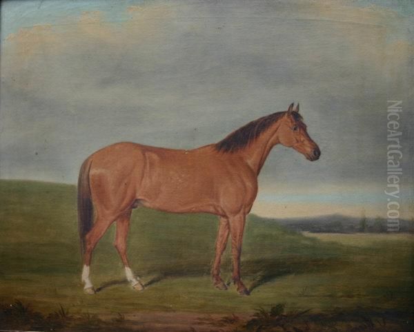 Chestnut Hunter In A Landscape Oil Painting by James Loder Of Bath