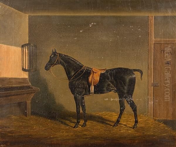 A Saddled Black Hunter In A Stable Oil Painting by James Loder Of Bath