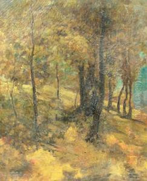 Forest In Autumn Oil Painting by Kimon Loghi