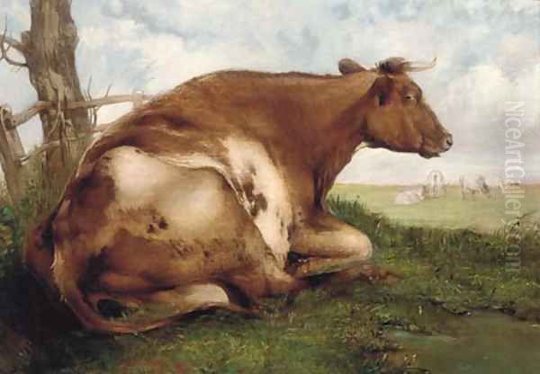 The recumbent cow Oil Painting by Thomas Sidney Cooper