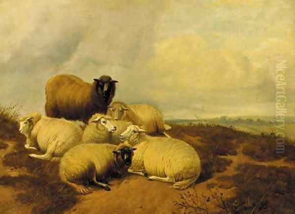 Sheep resting in a meadow 3 Oil Painting by Thomas Sidney Cooper