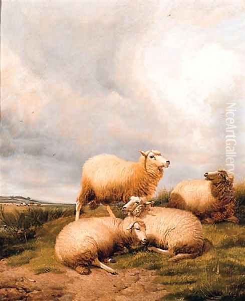 Sheep Resting In A Meadow 2 Oil Painting by Thomas Sidney Cooper