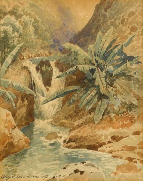 Palms By A Waterfall Oil Painting by August Lohr