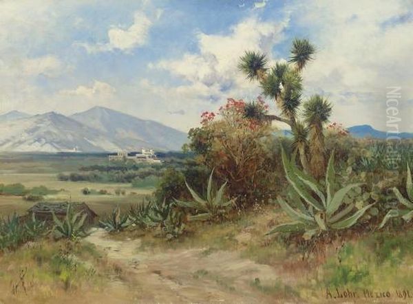 Valle De Mexico Con Castillo De Chapultepec Oil Painting by August Lohr