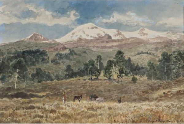 Nevado De Iztlazihuatl Oil Painting by August Lohr