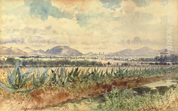 Volcan Y Magueyes Oil Painting by August Lohr