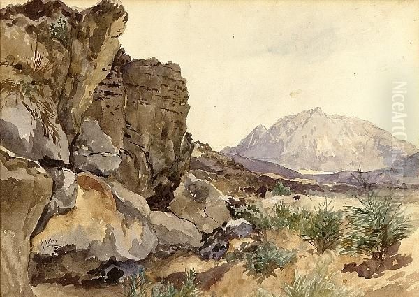 Valley Of Mexico Oil Painting by August Lohr