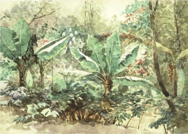 Banana Trees Oil Painting by August Lohr