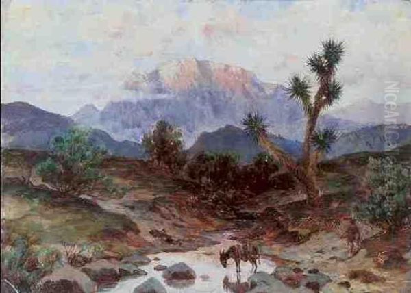 Mexikanische Landschaft Oil Painting by August Lohr