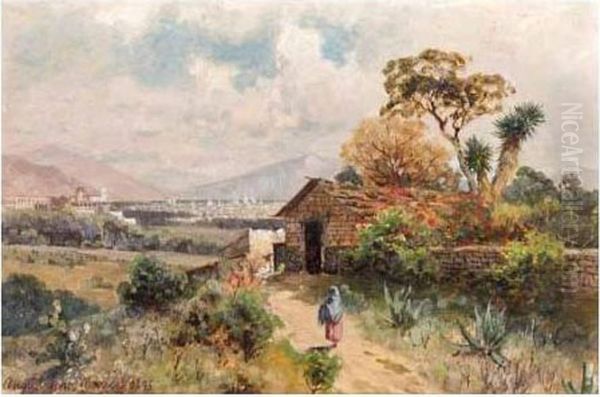 A Woman On A Track Near Mexico City Oil Painting by August Lohr