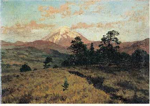 Le Mont Popocatepetl, Mexique Oil Painting by August Lohr