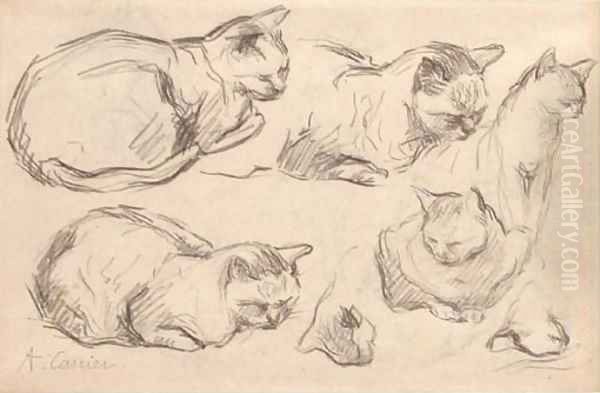 Studies of cats Oil Painting by Auguste-Joseph Carrier