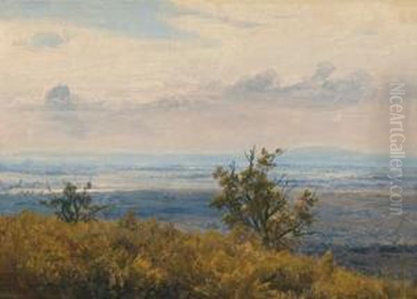 Attributed Danube Landscape Oil Painting by Friedrich Loos