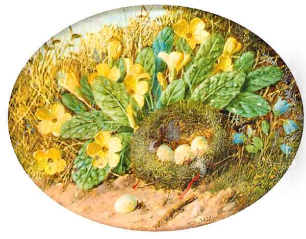 Primroses, hairbells and a bird's nest on a mossy bank Oil Painting by William Cruickshank