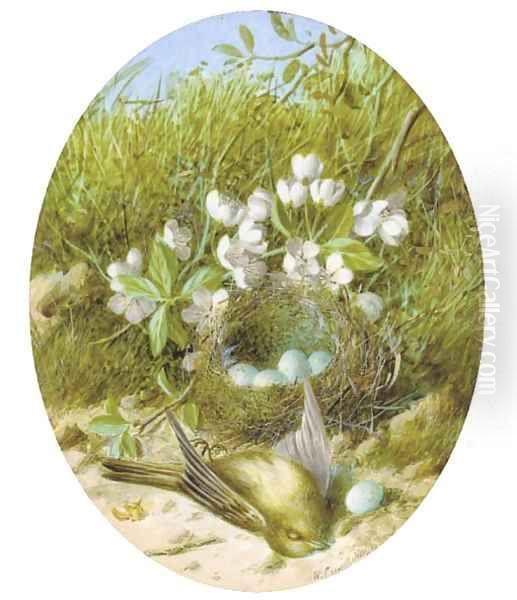 Still life of blossom, a bird and a bird's nest Oil Painting by William Cruickshank