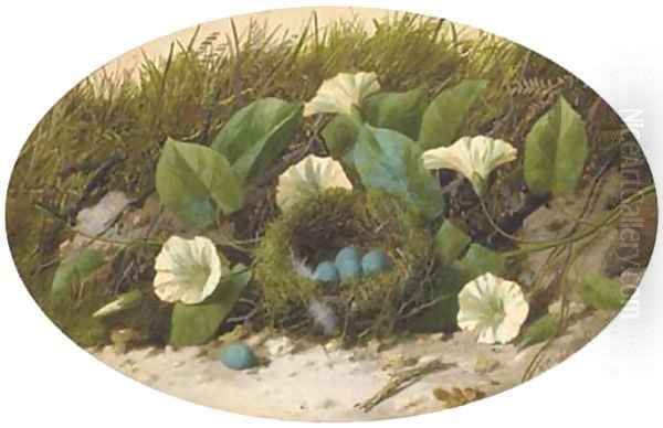 Convolvulus and a bird's nest on a mossy bank Oil Painting by William Cruickshank