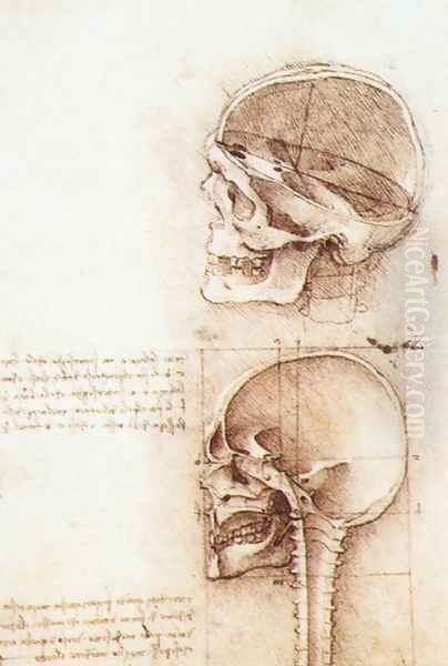 Studies of human skull Oil Painting by Leonardo Da Vinci