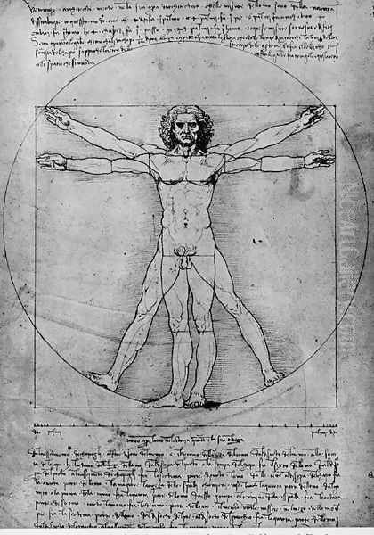 Vitruvian Man, Study of proportions, from Vitruvius's De Architectura Oil Painting by Leonardo Da Vinci