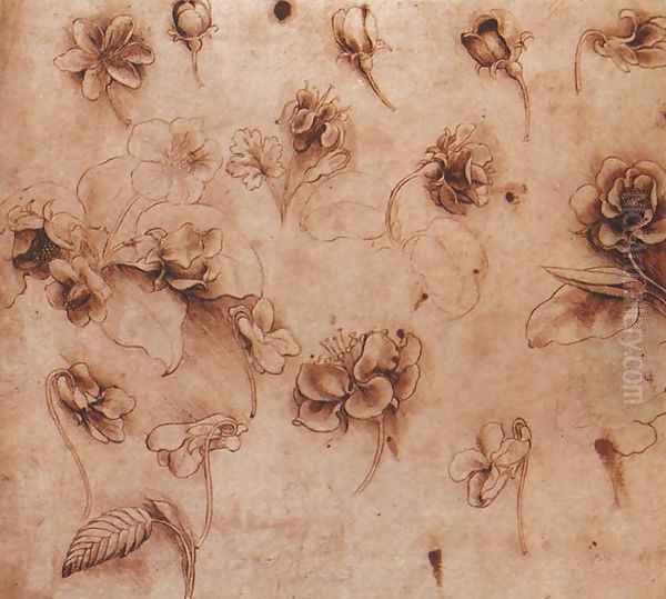 Flower Studies Oil Painting by Leonardo Da Vinci