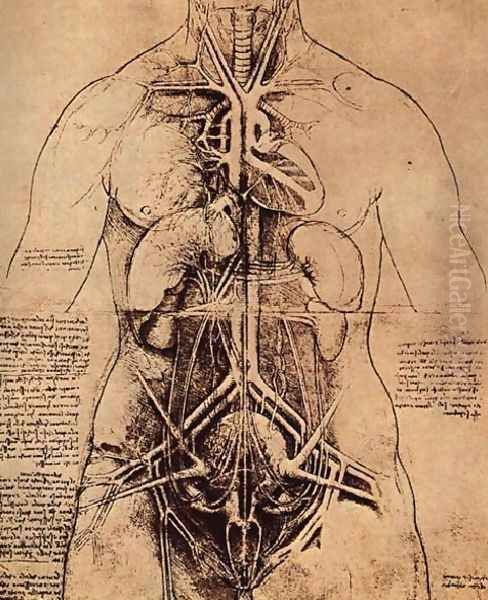 Drawing Of A Womans Torso Oil Painting by Leonardo Da Vinci