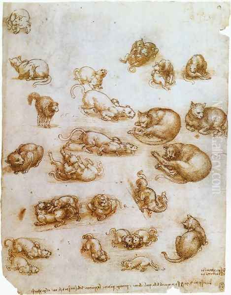 Study Sheet With Cats Dragon And Other Animals Oil Painting by Leonardo Da Vinci