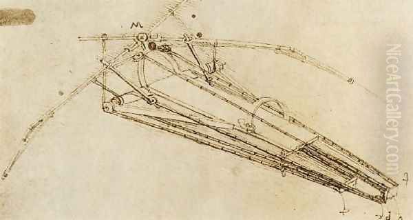 Drawing Of A Flying Machine Oil Painting by Leonardo Da Vinci