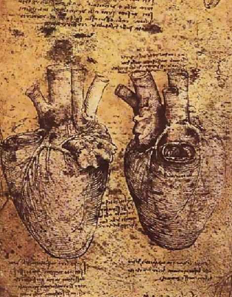 Heart And Its Blood Vessels Oil Painting by Leonardo Da Vinci