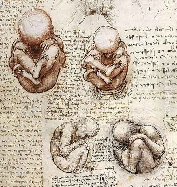 Fetus Oil Painting by Leonardo Da Vinci