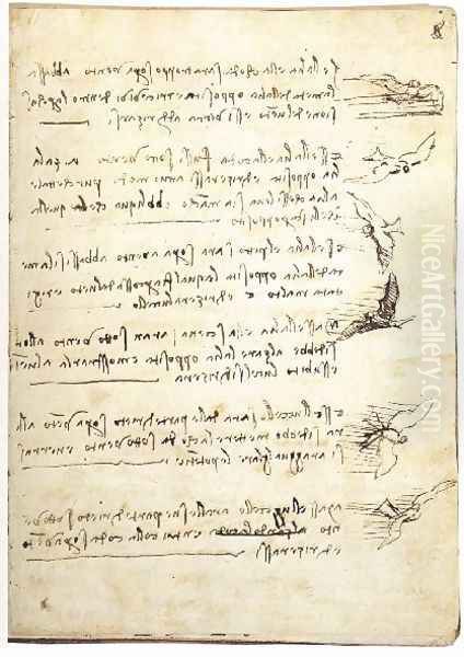 Codex On The Flight Of Birds Oil Painting by Leonardo Da Vinci