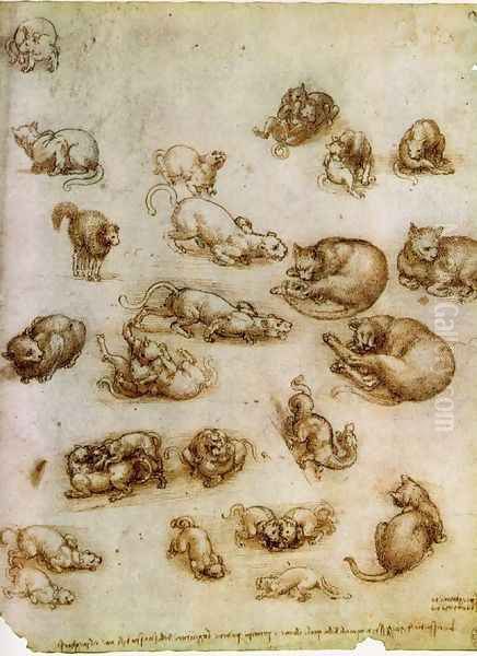 Study of Cat Movements and Position 1517-18 Oil Painting by Leonardo Da Vinci