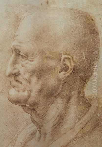 Study of an Old Man's Profile Oil Painting by Leonardo Da Vinci