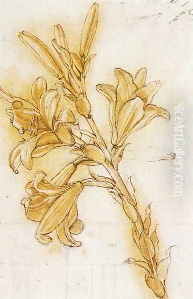 Lily Detail Oil Painting by Leonardo Da Vinci