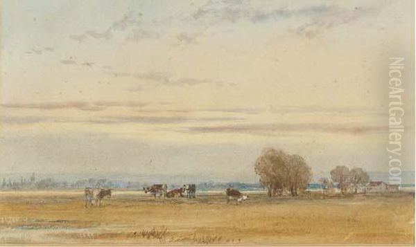 Cattle Grazing In The Water Meadows At Sunset Oil Painting by Thomas Lound