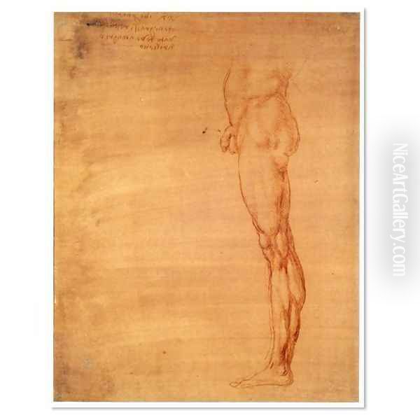 The Abdomen and Leg of a Man Oil Painting by Leonardo Da Vinci