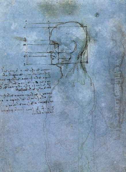 Study Of Proportion Oil Painting by Leonardo Da Vinci