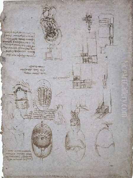 Studies Of The Villa Melzi And Anatomical Study Oil Painting by Leonardo Da Vinci