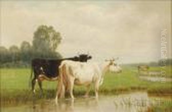 Cows Watering Oil Painting by Clinton Loveridge