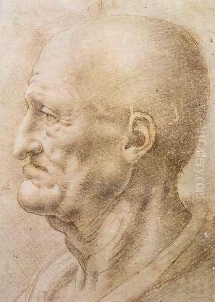 Profile Of An Old Man Oil Painting by Leonardo Da Vinci