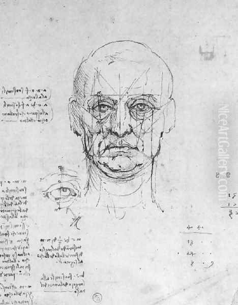 Study On The Proportions Of Head And Eyes Oil Painting by Leonardo Da Vinci