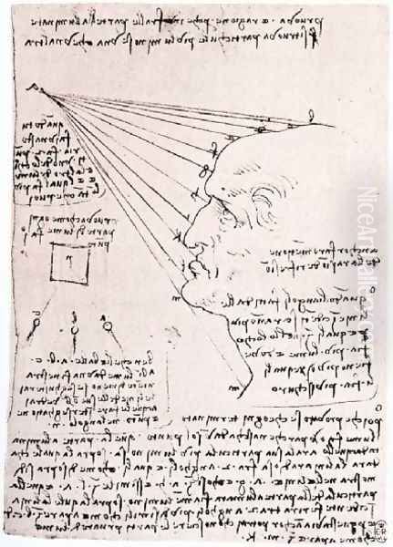 Study Of The Effect Of Light On A Profile Head Facsimile Oil Painting by Leonardo Da Vinci