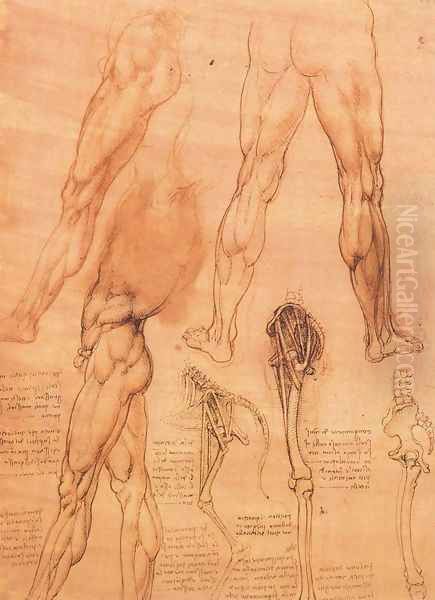 Studies of legs of man and the leg of a horse Oil Painting by Leonardo Da Vinci