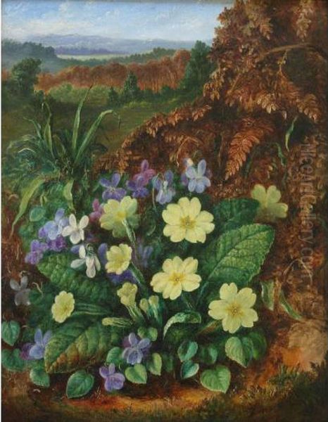 Primroses; Bell Heather Oil Painting by Albert Durer Lucas