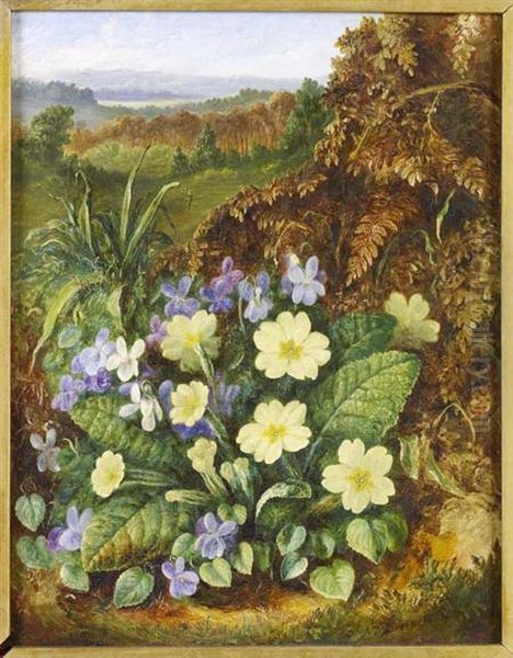 A Still Life Of Violets And Primula Oil Painting by Albert Durer Lucas