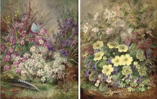 Primroses; And Heather Oil Painting by Albert Durer Lucas